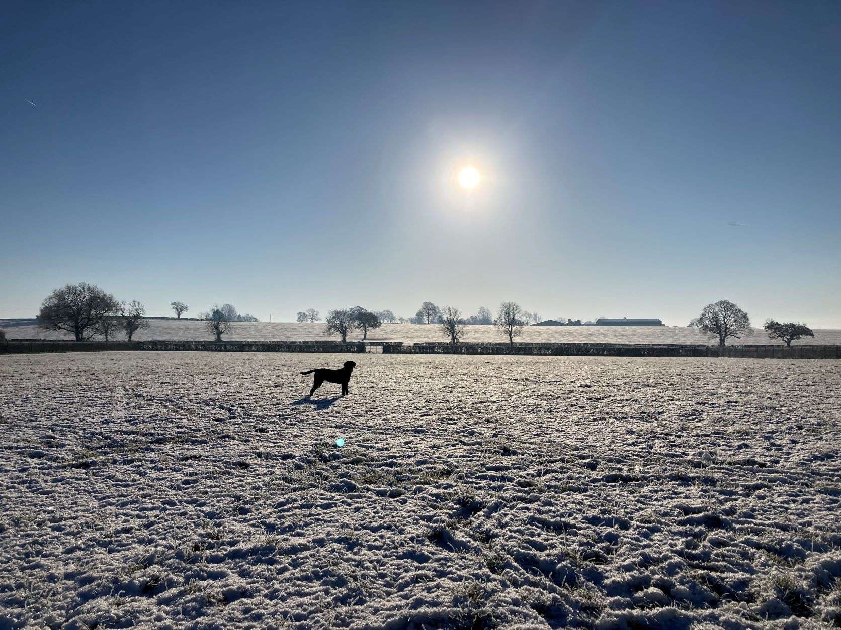 Stratford Dog Walking Field Snow Scene